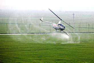 m.gzxinhong168.com.cn